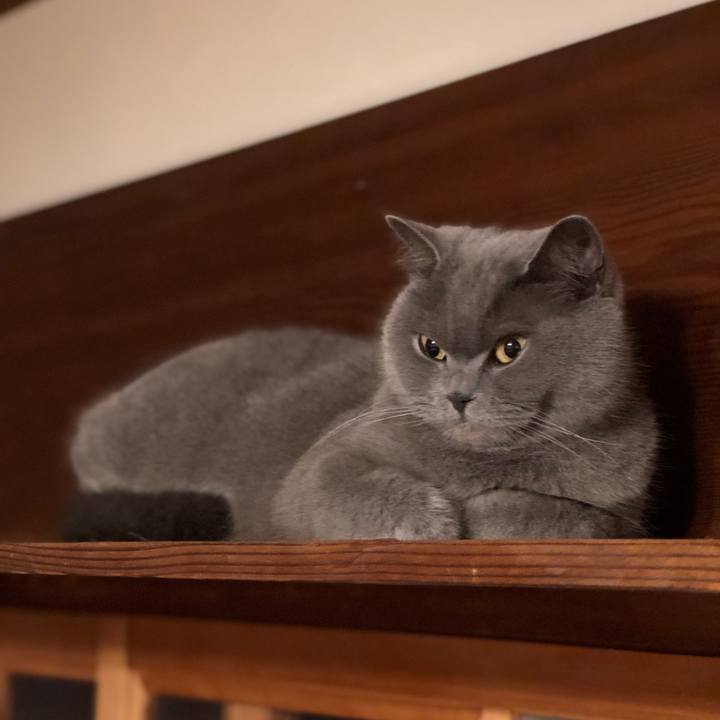 522abf9c 8ee4 4a2b 8116 8f7a74a01b3a 1613739978385