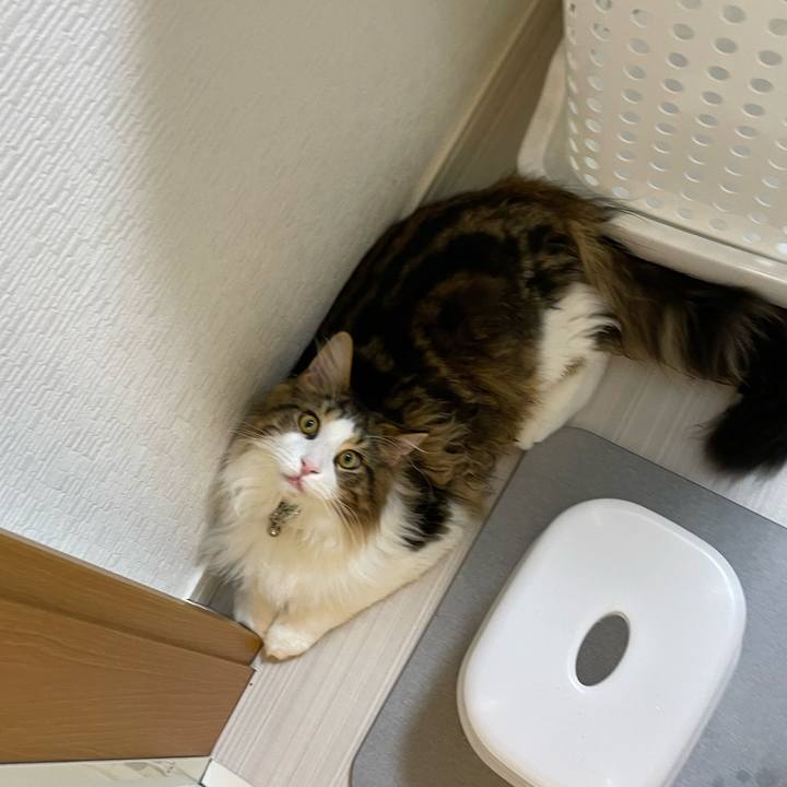 522acce4 b9ba 4a67 b16b 7a3e8103f68f 1642078428067