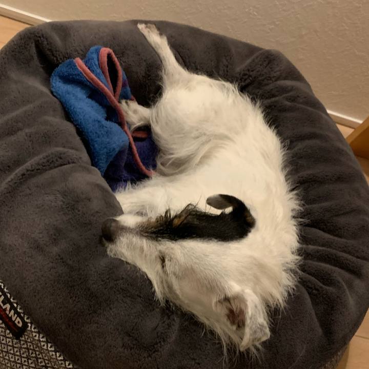 522acd30 ff97 4700 9202 6bd65e8327be 1649508588849