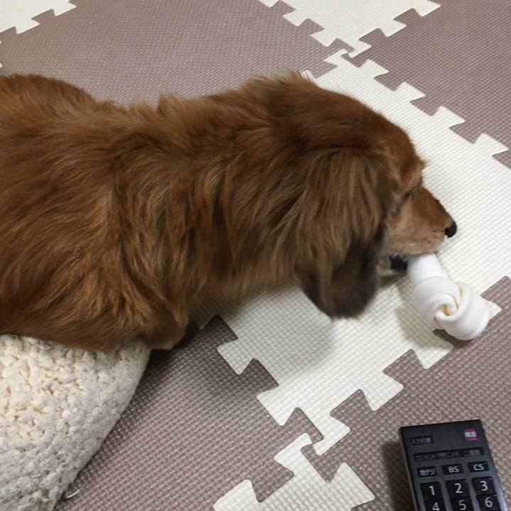 522ad7fe db6c 4005 961b d7198ea248ec 1573739786179