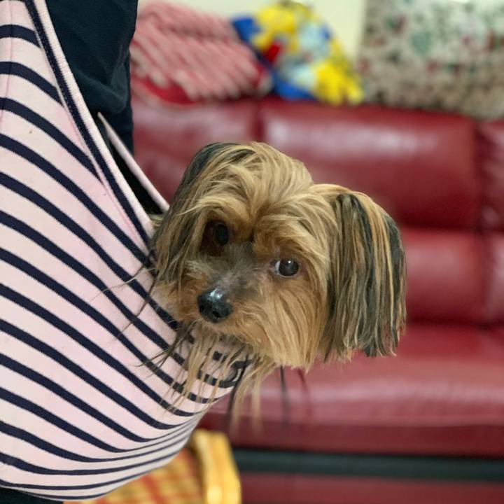 522ae3f5 cbdd 428a bad7 3a658d8ea597 1546757223704