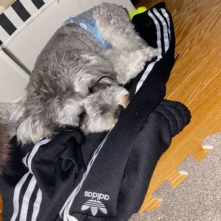 522aea99 af63 4a6c aa96 03fa02fdbaf4 1601917509891