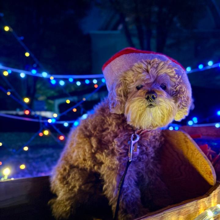 522aeba5 07ea 4adc 8734 49a18c24f9a2 1763858079654