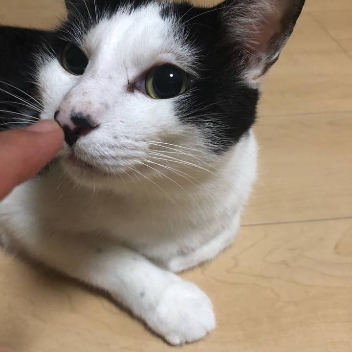 522afe90 c39d 4da0 b97e a03df384d77e 1568219664288