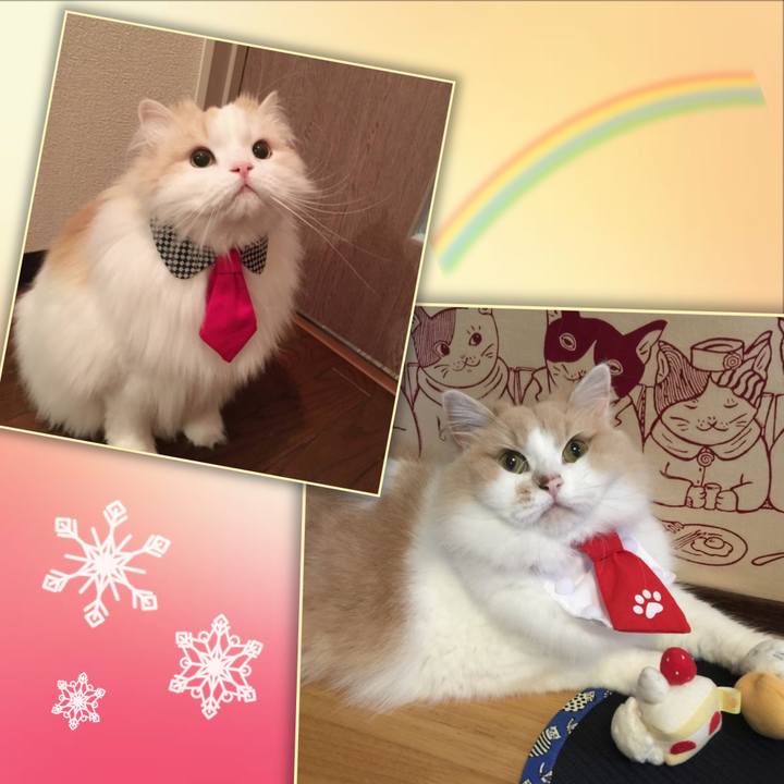 522b4368 4bf2 4119 819b 22ec6035ba64 1644374197356