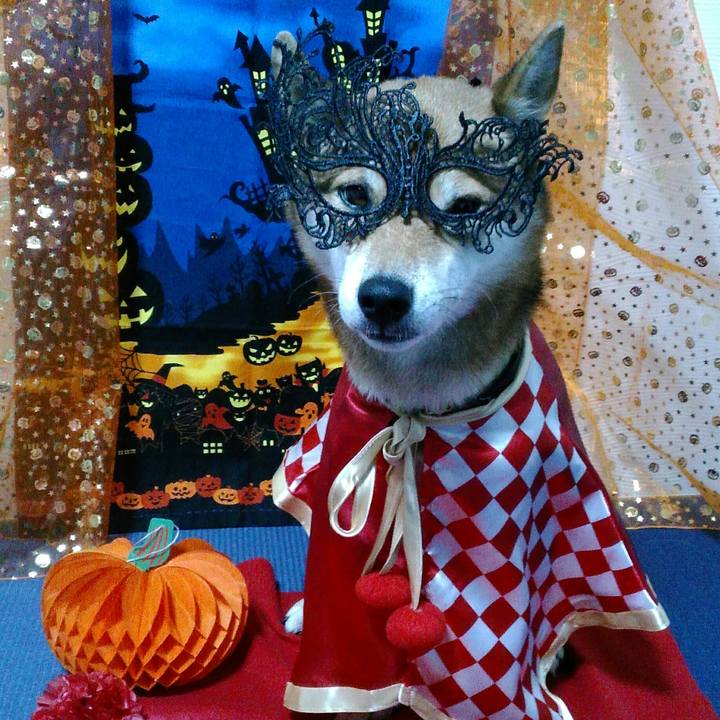 522b4d74 a215 4104 a903 392f2f5eb05e 1509438333210