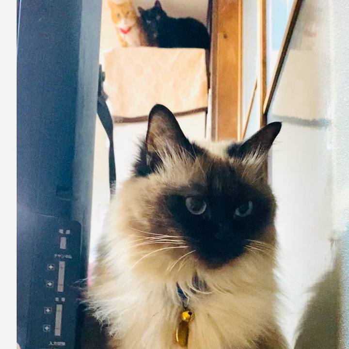 522b5b44 01b9 45f3 899b c7ef223c7aea 1737803713193