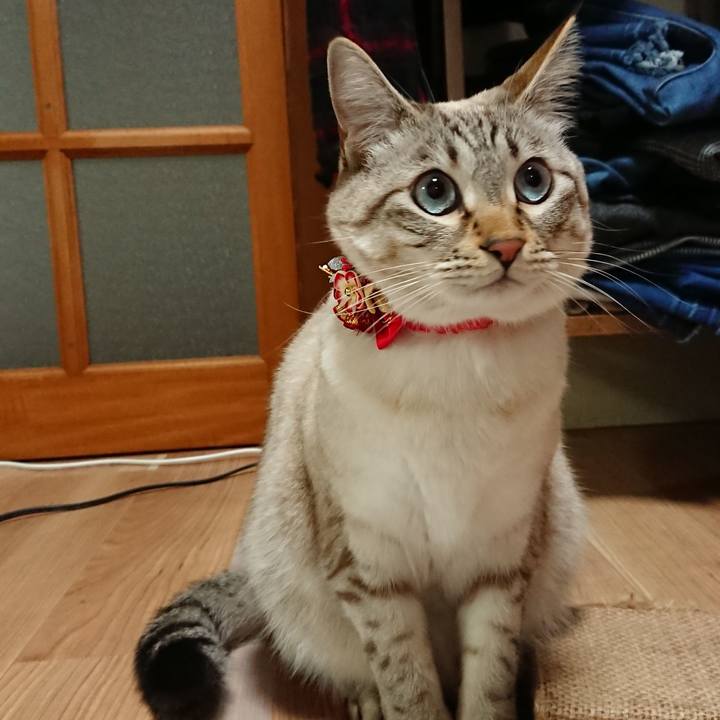 522b5d4d b5e2 4add 83e3 2ac74555c54b 1515246947522