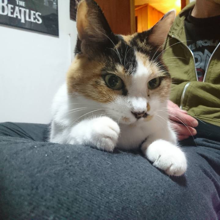 522b699a 4622 444c 802c 26a48e89a0b6 1540031808498