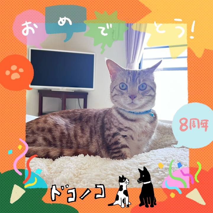 522b70dd 2229 4ecf 9bf7 b4e0af3c6bcb 1717713095403