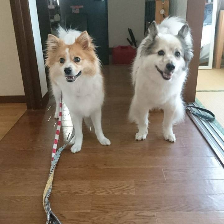 522b77b2 cad4 4fb8 82b4 597cb0dc8e3f 1590317713614