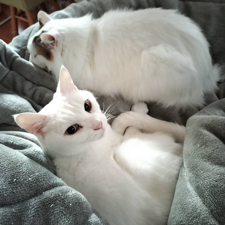 522b7e32 529c 4554 90dc a4d97bb975d1 1765338287595