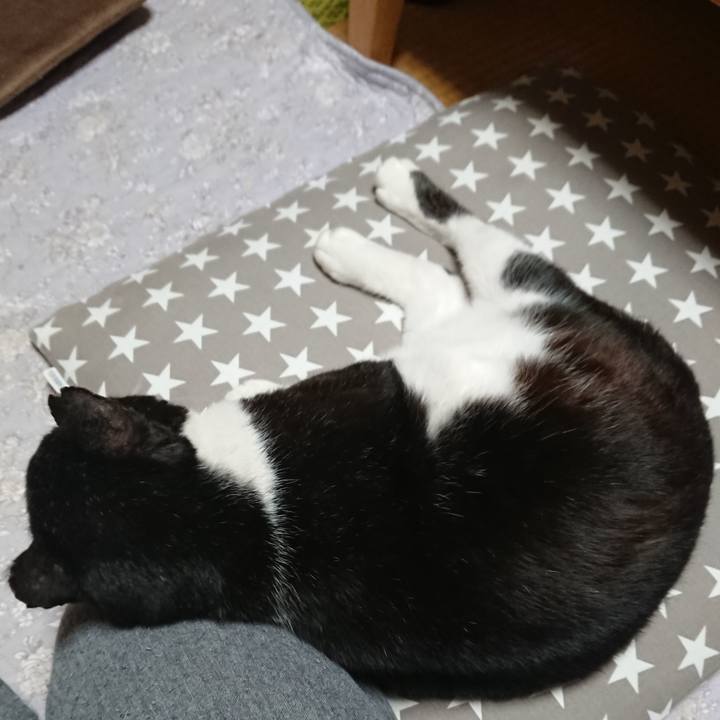 522b9909 3072 4fb8 a226 ad2cc7d57949 1587302129379