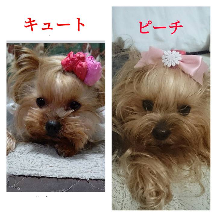 522bbc98 2f1e 453f 9fcd 87e62325bbad 1621479288339