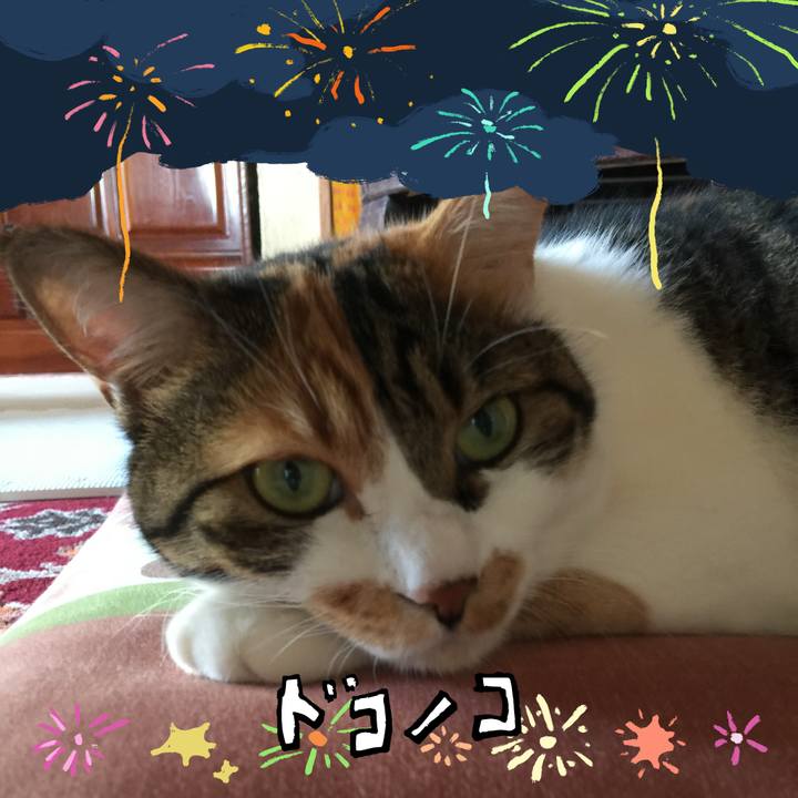 522bdd41 4ae0 4966 8e0e 68b0a8f81a4d 1723697660097