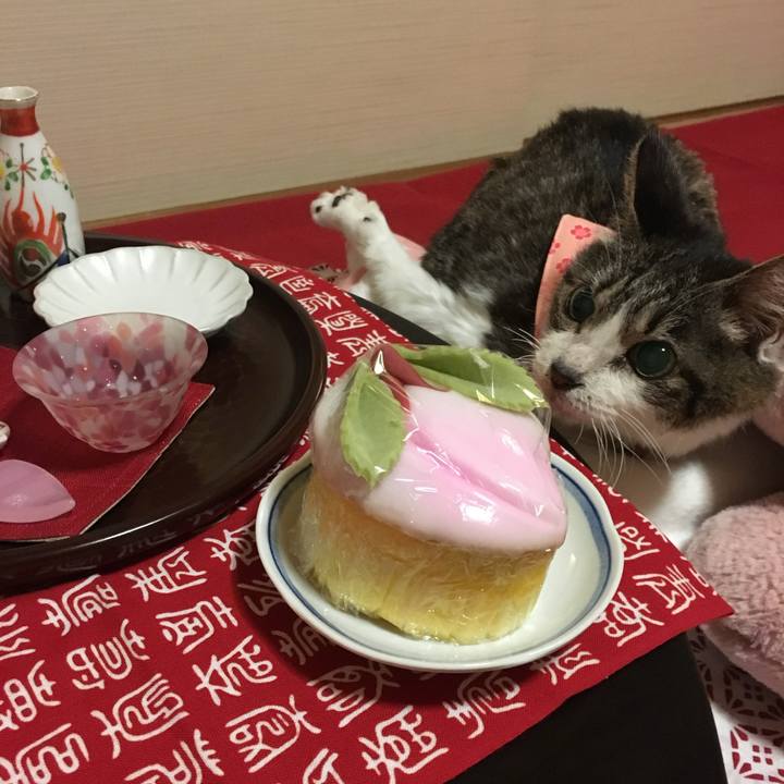 522bf584 708e 4baa ad6e c4577e2ff10b 1772318665660