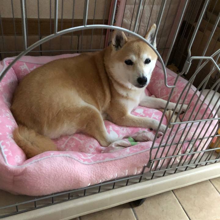 522c2281 b1a9 4e28 a89c 43afd7c70963 1602159420106