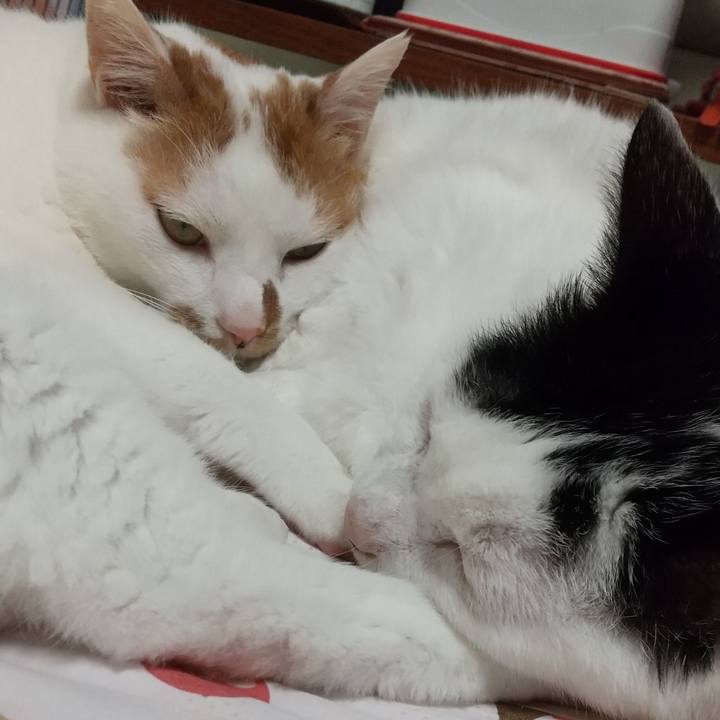 522c914d 4aa4 4c78 b1a5 966f649a8898 1687856909915