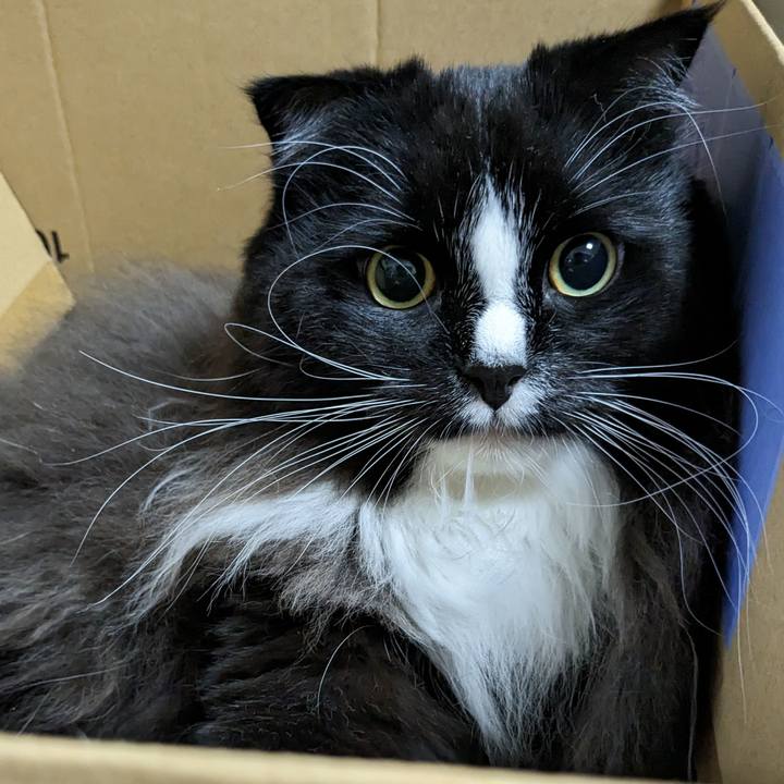 522ccec3 4f82 4071 987b 4a904a8ff312 1701735078730