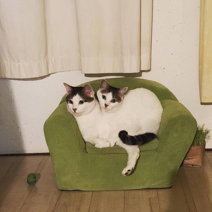 522d114a 759c 45b6 b81e 45759d4e3e32 1574393355956