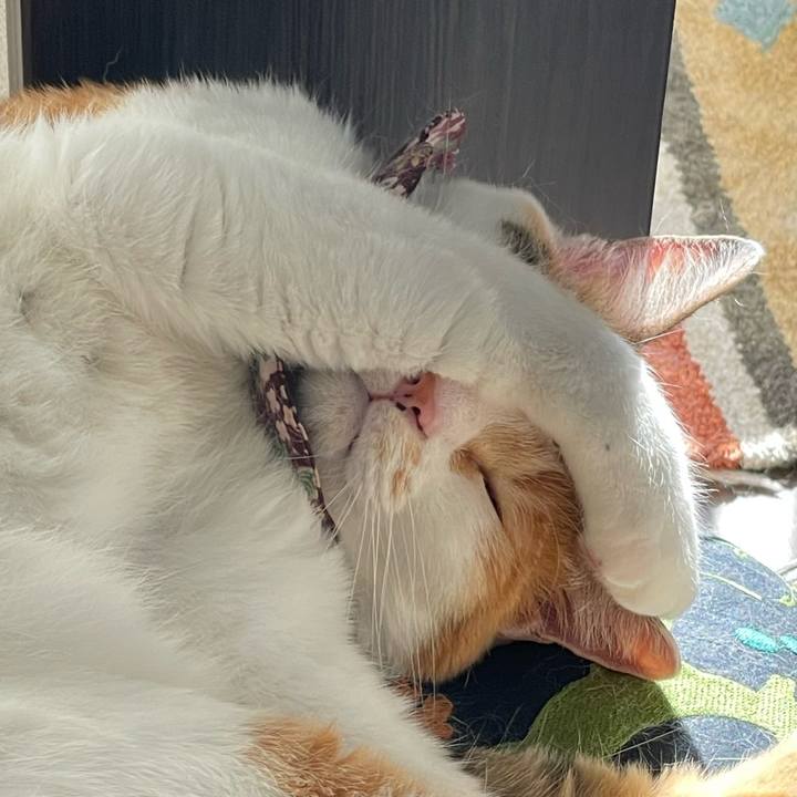 522d1f0b fe64 48a5 aa8b 8ccd3682fbd6 1750492425699