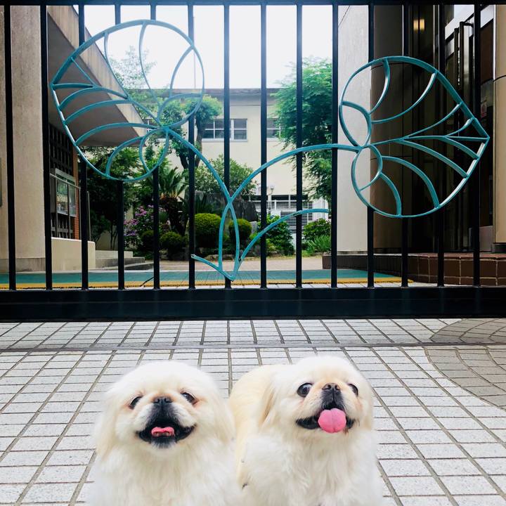 522d333f b889 4c06 892e afa343c3fa91 1591652204182