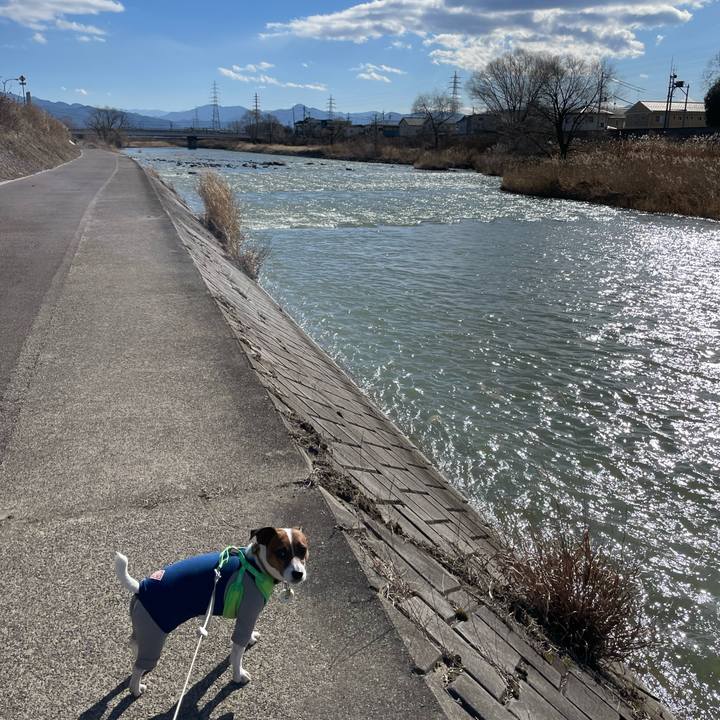 522d6c6e 9cfe 4825 bdae a6edec74270e 1677401993911