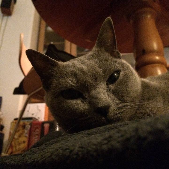 522d7236 70a0 4ba7 a240 3fba7a8c668b 1515930188809