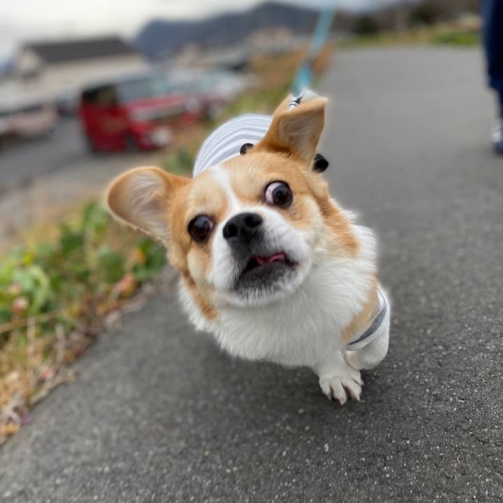 522d9276 03f4 4813 a95e 0930c1aad49c 1579331692057