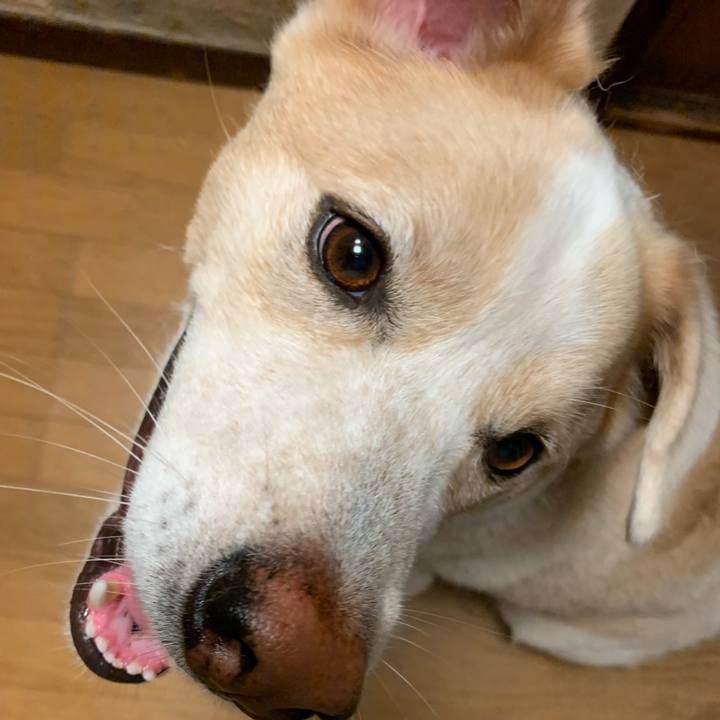 522d94ac ef5a 42a3 9972 a73d229c5bbd 1572360775066