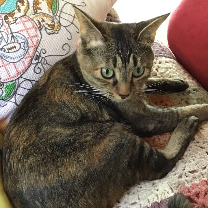 522ddcfb 882e 48f3 84ed 5a55dc55ffc1 1632547268282