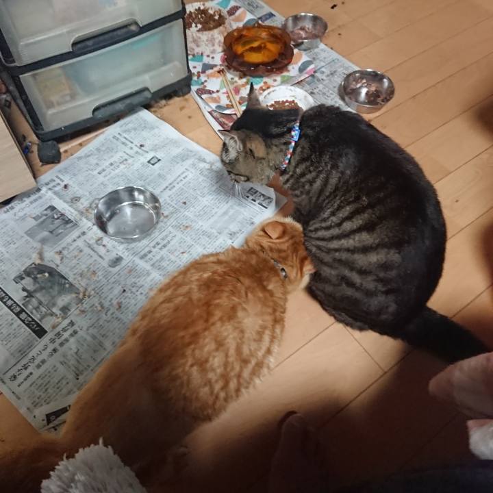 522de522 9f99 4e00 9f25 b01352d0ab44 1655503468392