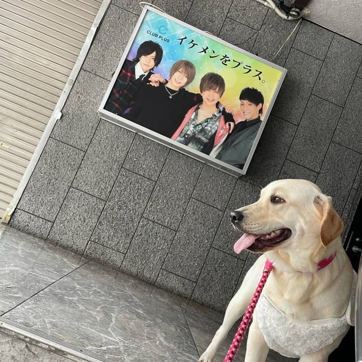 522debca 6c70 4476 ae98 ee9299714f88 1635586750146