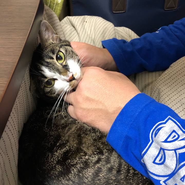 522e18ad 7d93 4de8 aa8e b0f763872495 1518413468355