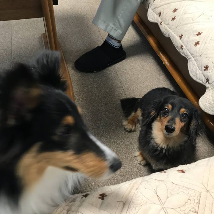 522e8ee4 2151 40e9 9ecf 05a92b85797b 1524002223299