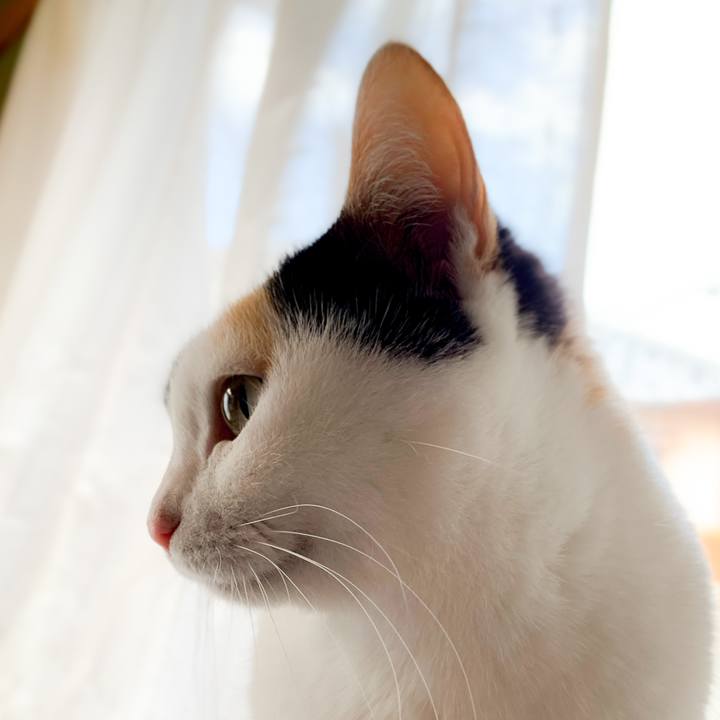 522e9590 0782 4aa0 babd 083e502ac98a 1585879421116