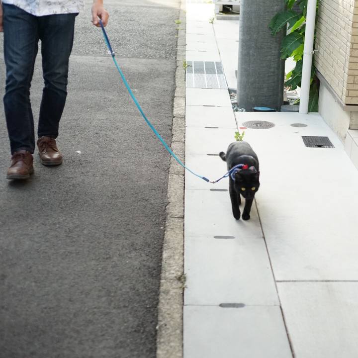 522ec6a7 2258 4eb2 9d94 f5c33335d1c5 1527424258916