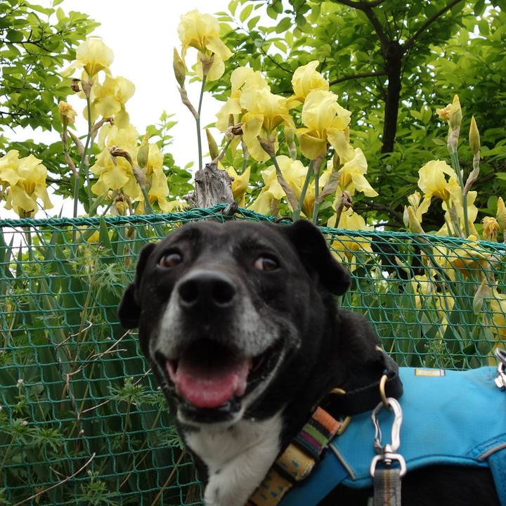 522ee0c2 137c 4bb5 b933 777781ce8e14 1714177951572