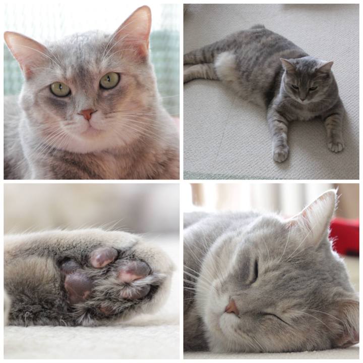 522ef906 71ce 4932 b7a2 2a715d3143b8 1627394477630