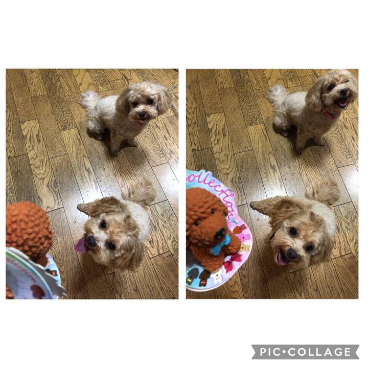 522f16fc 0c53 4506 a83a 09c9176bea69 1659869897614