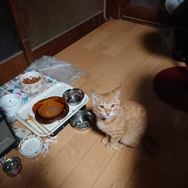 522f750f 77ff 4707 8b95 0f3712d18a9b 1634676392747