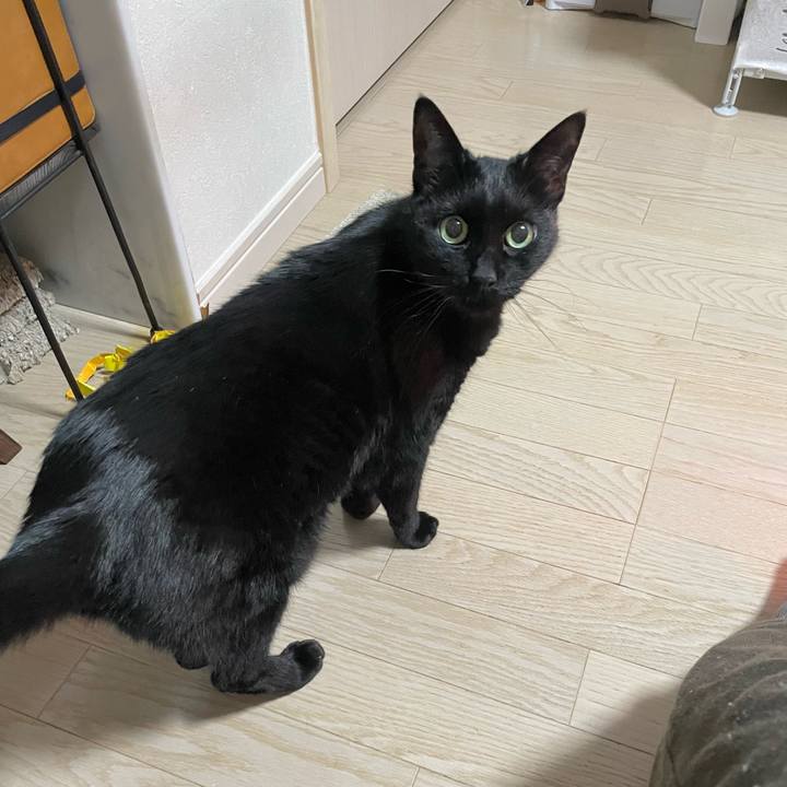 522f84a0 8ec4 4da9 bdc1 f3a4556f9c3f 1772020817991