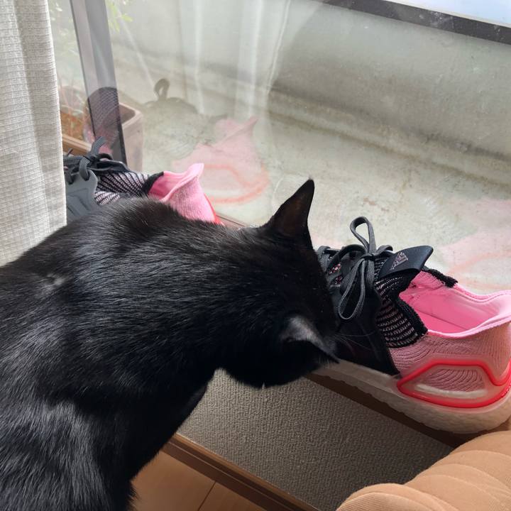 522f9de5 0cc9 4196 8f8c fbe217051502 1554012517315