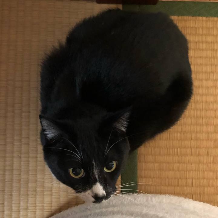 522fb9ff d5f6 402c 9d73 6bad31bf07b0 1603856880505