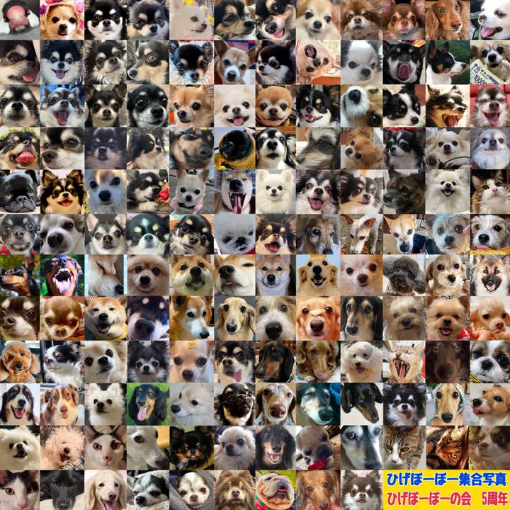 522fbb0c 2cf7 413f bfe0 08bf4291fc44 1738016452558