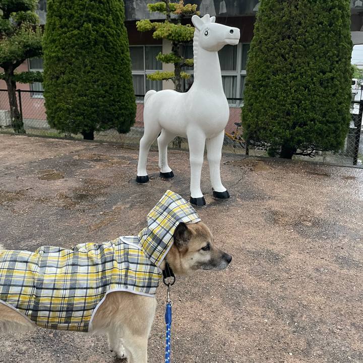 522fdac3 e97d 4f75 bd34 2271a2dad8a9 1714998287749