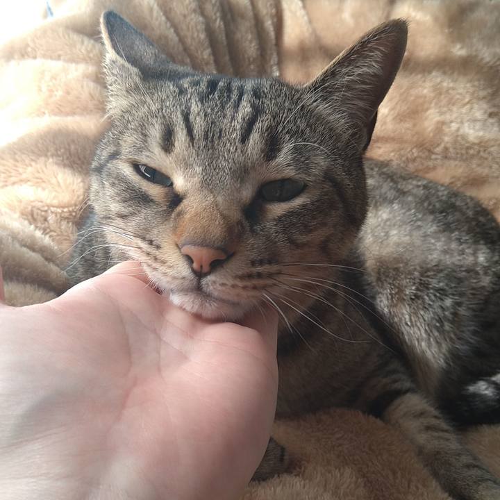 522fded7 c3b5 46cc a2e8 02341e16788c 1651310344462