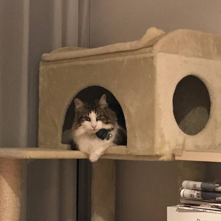 522fe38c 1cff 437d 85e1 ac86537ec97b 1624117068275