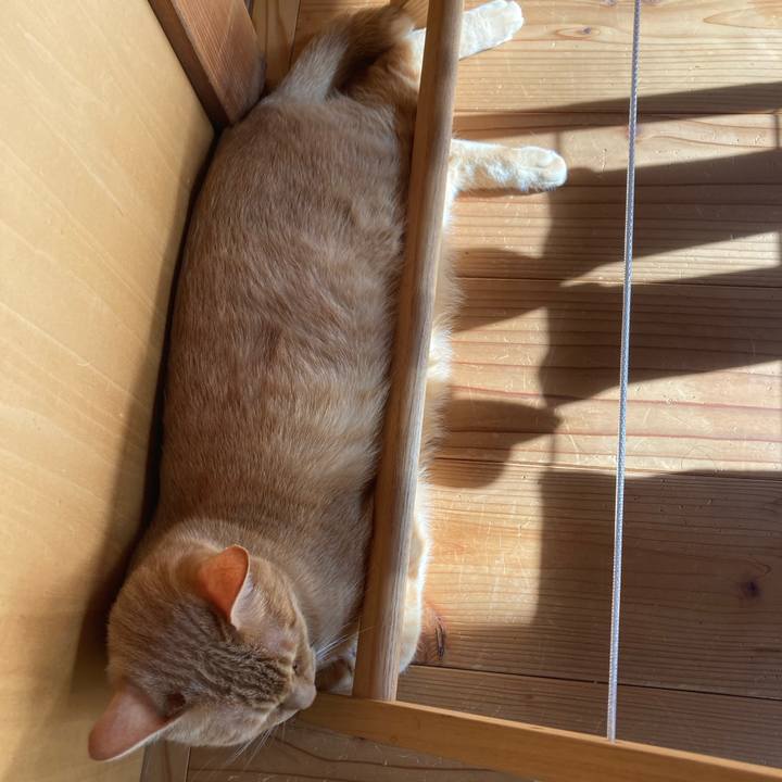 523002fa 6543 4301 a2f6 0698ab6a38f5 1753451766990