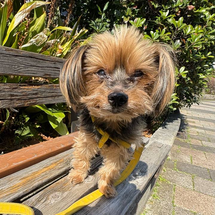 52300ebd dbc3 48e7 9d7c 1b82883f0b83 1773636892814